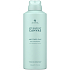 Alterna Mein Haar Mein Canvas Ein weiterer Tag Trockenes Haar Shampoo 142 g