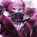 Lancome La Nuit Trésor Le Parfum Eau de Parfum für 100 ml