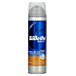 Gillette Series Protection Rasierschaum für Männer 250 ml