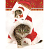 Nekupto Geschenk Papiertüte 14 x 11 x 6,5 cm Weihnachtskatze 911 30 WBS