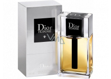 Christian Dior Homme Eau de Toilette für Männer 100 ml