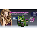 Schauma Push-Up für größeres Volumen Haarshampoo 400 ml