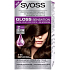 Syoss Gloss Sensation Sanfte Haarfarbe ohne Ammoniak 3-86 Goldene Schokolade 115 ml