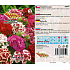 Seva Seed Bearded Pink - Farbmischung 0,5 g