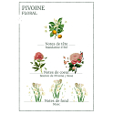 Panier des Sens strahlendes Pfingstrosen-Gesichtsserum 30 ml