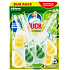 Duck Active Clean Citrus Splash WC-Hänger für die Toilette, 2 × 38,6 g