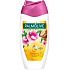 Palmolive Naturals Arganöl & Magnolien Duschgel 250 ml