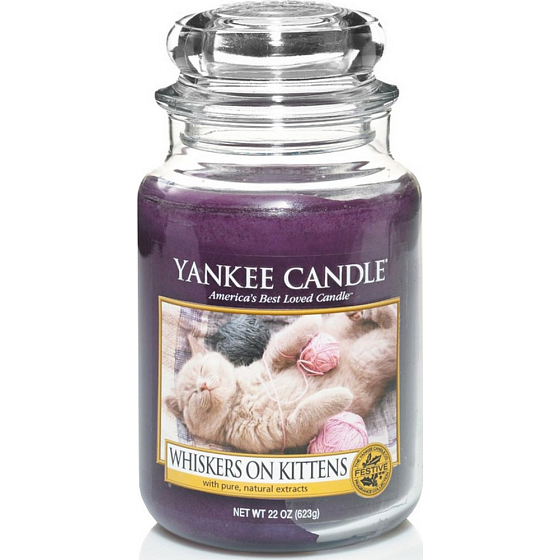 Yankee Candle Whiskers auf Kittens Classic Katzenglas 623 g