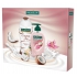 Palmolive Gourmet Coconut Joy Duschgel 250 ml + Orchideen- und Kokosmilch-Handwäsche + Lotion-Flüssigseife mit Spender 250 ml, Kosmetikset
