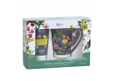 Bronnley RHS Natural Gardeners Therapie Hand- und Nagelcreme 100 ml + Becher Geschenkset - BESCHÄDIGT