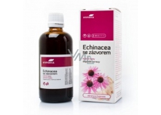 Aromatica Echinacea Kräutertropfen mit Ingwer zur Abwehr, Immunität, entzündungshemmend, Atemwege 100 ml