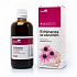Aromatica Echinacea Kräutertropfen mit Ingwer zur Abwehr, Immunität, entzündungshemmend, Atemwege 100 ml