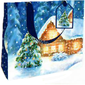 Nekupto Geschenkpapier Tasche Luxus 18 x 16 cm Weihnachten Schnee Haus