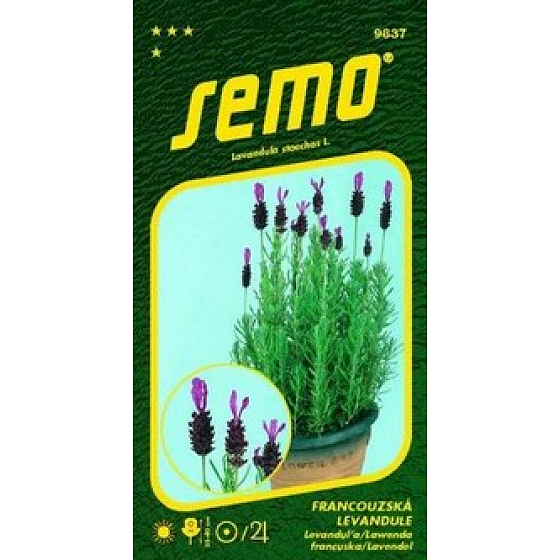Semo Französischer Lavendel 0,1 g