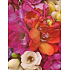 Nekupto Geschenk Papiertüte 23 x 18 x 10 cm Blumen 1354 30 KFM