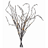 Emos Branch Beleuchtung 60 cm, 24 LEDs, warmweiß + 0,3 m Netzkabel + Timer