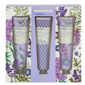 Heathcote & Ivory Flower Blooms Lavendel Garten Pflegende Hand- & Nagelcreme 3 x 30 ml, Kosmetikset