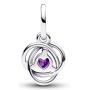 Charme Sterling Silber 925 Violett Ewigkeit Kreis Februar, Anhänger am Armband Symbol