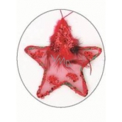 Stern mit Feder und Pailletten rot zum Aufhängen 11 cm