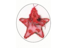 Stern mit Feder und Pailletten rot zum Aufhängen 11 cm