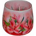 Essenzen des Lebens Amaryllis aromatische Kerze in Glas 100 g