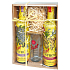 Kitl Syrob BIo Holunderblütensirup handverlesene Blumen 500 ml + Ingwersirup handgepresst 500 ml, Geschenkbox