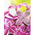 Nekupto Geschenk Papiertüte 18 x 23 x 10 cm Blumen 500 30 KFM