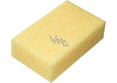 Houba tabulová 11 × 18 × 5 cm