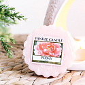 Yankee Candle Peony - Duftwachs Aromalampe 22 g