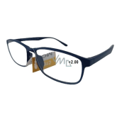 Berkeley Lesebrille Dioptrien +2 Kunststoff blau 1 Stück MC2269
