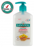 Sanytol Nourishing Mandelmilch & Motherwort Desinfektionsseife, 250 ml mit Spender