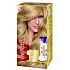 Wella Wellaton Mousse Haarfarbe 8/0 Hellblond