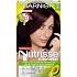 Garnier Nutrísse Créme Haarfarbe 36 Wilde Brombeeren