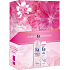 Fa Romantic Moments Duschgel 250 ml + Dry Protect Antitranspirant Deodorant Spray 150 ml, Kosmetikset