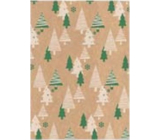 Ditipo Geschenkpapier 70 x 200 cm Weihnachten KRAFT Grün, beige Bäume
