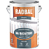 Radbal Profi S2120 spezielle Farbe für Heizkörper, 1000 weiß, 4 l