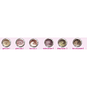 Dermacol Pearl Touch Lidschatten Hoch schimmernder Schaum Lidschatten 4,9 g Farbe 2
