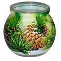 Lassen Sie Kiefer dekorative aromatische Kerze im Glas 80 g