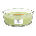 WoodWick Fern - Farnduftkerze mit breitem Holzdocht und Glasschiffdeckel 453 g