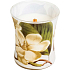 WoodWick Decal Magnolia - Magnolia blüht Duftkerze mit Docht aus Holz und Deckel Glas Medium 275 g