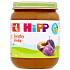 HiPP Fruit Organic Plums Fruchtbeilage, reduzierter Laktosegehalt und ohne Zuckerzusatz für Kinder 125 g