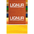 Lignurgelb wasserlöslicher Holzbeize 40 g