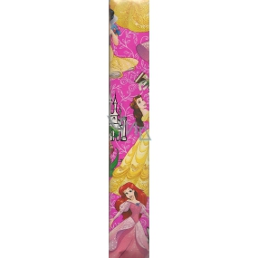 Ditipo Geschenkpapier 70 x 200 cm Weihnachten Disney Princess dunkelrosa