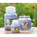 Yankee Candle Garden Sweet Pea - Blumen aus dem Garten Duftkerze Klassisches kleines Glas 104 g