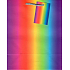 Ditipo Geschenk Papiertüte 18 x 23 x 10 cm Regenbogen