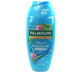 Palmolive Thermal Spa Mineral-Massage-Duschgel 250 ml