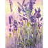 Nekupto Geschenk Papiertüte 23 x 18 x 10 cm Lavendel 1122 40 KFM