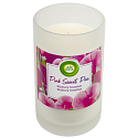 Air Wick Pink Sweet Pea - Duftkerzenglas Pink Pea XXL 310 g