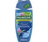 Palmolive Duschgel Wellness Massage, 250 ml