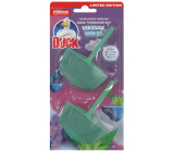 Duck WC Block 4in1 Coloring Virtual, 2x 36 ml